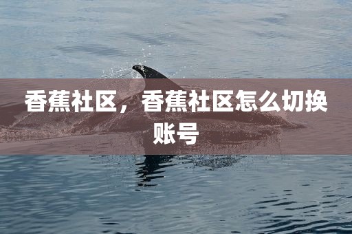 香蕉社区，香蕉社区怎么切换账号