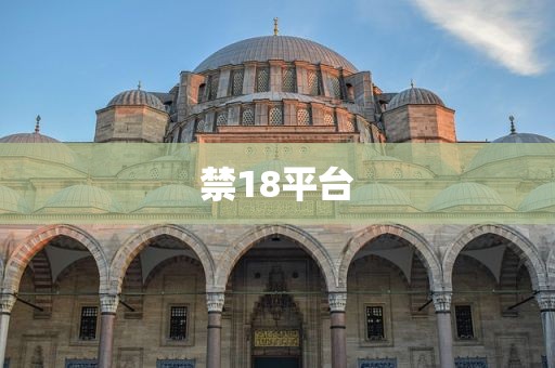 禁18平台