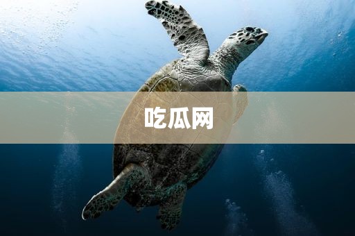 吃瓜网