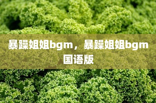 暴躁姐姐bgm，暴躁姐姐bgm国语版