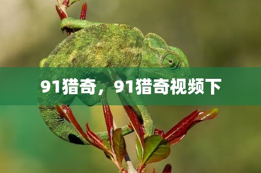 91猎奇，91猎奇视频下