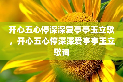 开心五心停深深爱亭亭玉立歌，开心五心停深深爱亭亭玉立歌词