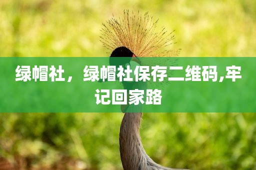 绿帽社，绿帽社保存二维码,牢记回家路