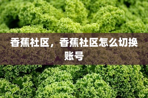 香蕉社区，香蕉社区怎么切换账号