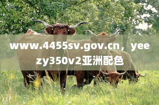 www.4455sv.gov.cn，yeezy350v2亚洲配色