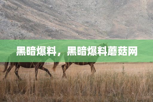 黑暗爆料，黑暗爆料蘑菇网