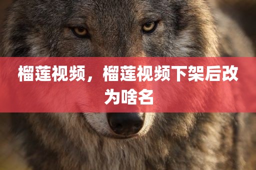榴莲视频，榴莲视频下架后改为啥名