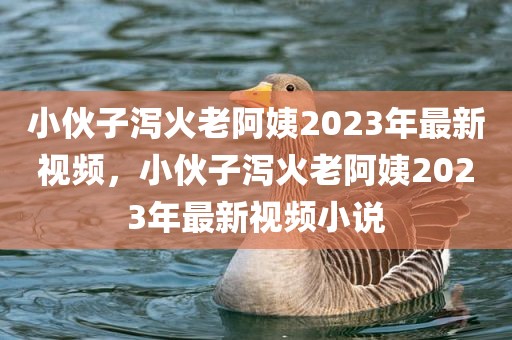 小伙子泻火老阿姨2023年最新视频，小伙子泻火老阿姨2023年最新视频小说