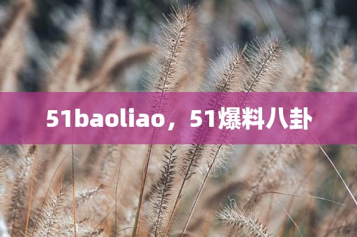 51baoliao，51爆料八卦