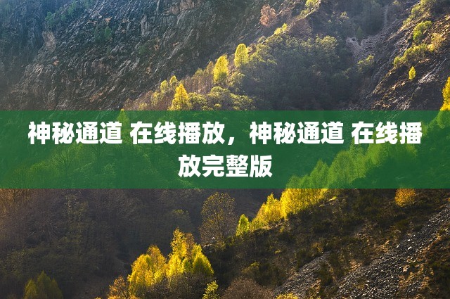 神秘通道 在线播放，神秘通道 在线播放完整版