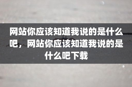 网站你应该知道我说的是什么吧，网站你应该知道我说的是什么吧下载