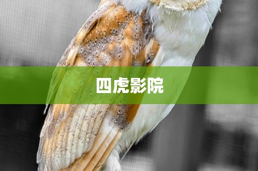 四虎影院