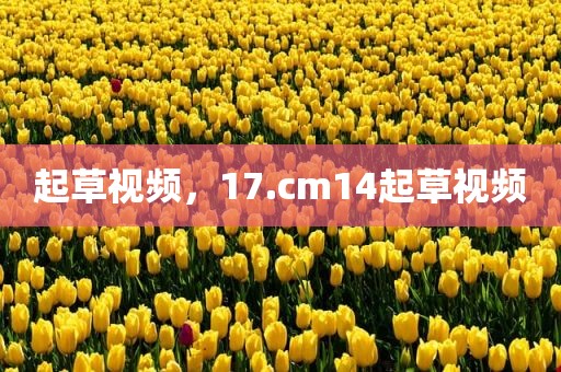 起草视频，17.cm14起草视频