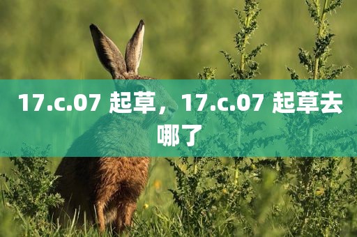 17.c.07 起草，17.c.07 起草去哪了