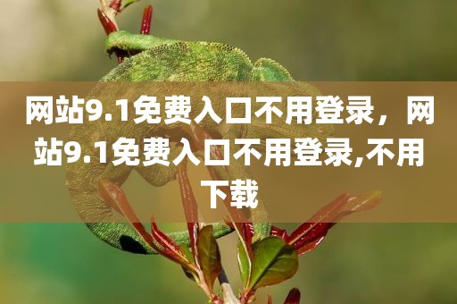 网站9.1免费入口不用登录，网站9.1免费入口不用登录,不用下载