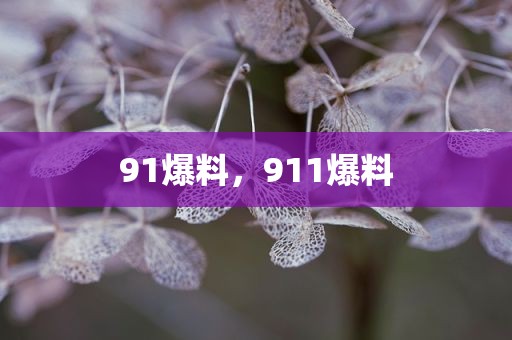 91爆料，911爆料