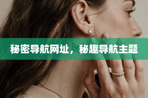 秘密导航网址，秘趣导航主题
