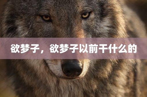欲梦子，欲梦子以前干什么的