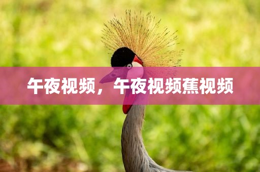 午夜视频，午夜视频蕉视频
