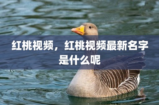 红桃视频，红桃视频最新名字是什么呢