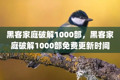 黑客家庭破解1000部，黑客家庭破解1000部免费更新时间