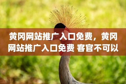 黄冈网站推广入口免费，黄冈网站推广入口免费 客官不可以