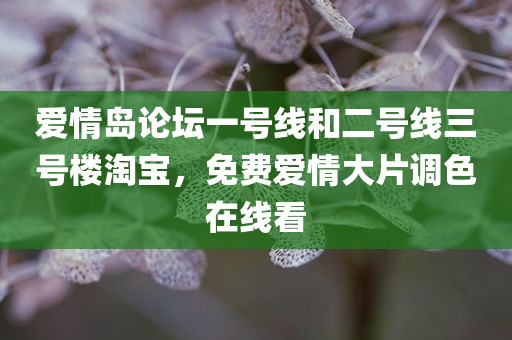 爱情岛论坛一号线和二号线三号楼淘宝，免费爱情大片调色在线看