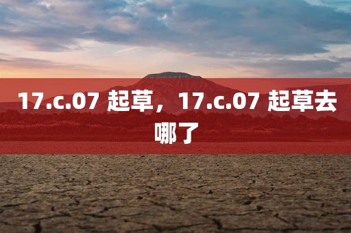 17.c.07 起草，17.c.07 起草去哪了