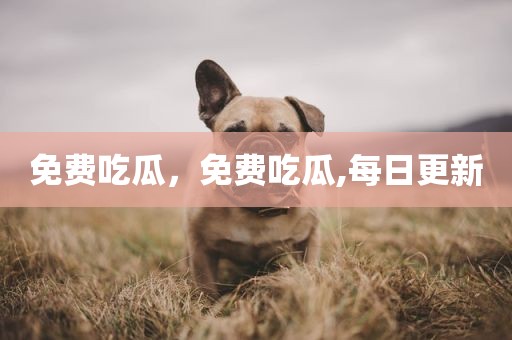 免费吃瓜，免费吃瓜,每日更新