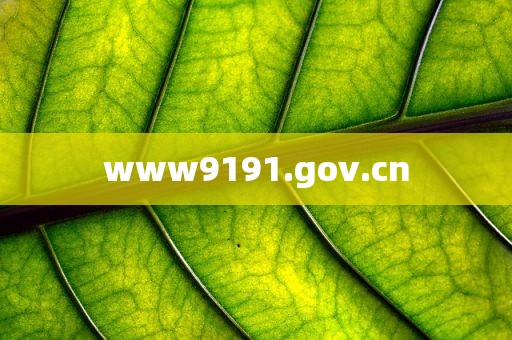 www9191.gov.cn