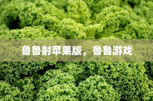 鲁鲁射苹果版，鲁鲁游戏