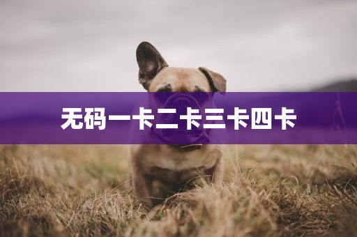 无码一卡二卡三卡四卡
