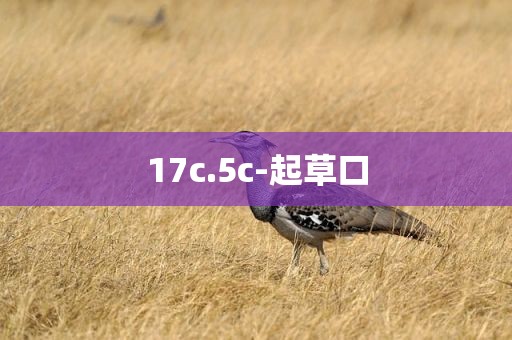 17c.5c-起草口