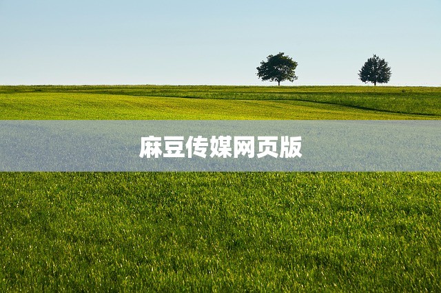 麻豆传媒网页版