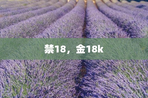 禁18，金18k