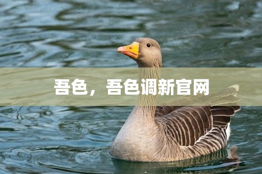 吾色，吾色调新官网