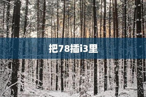 把78插i3里