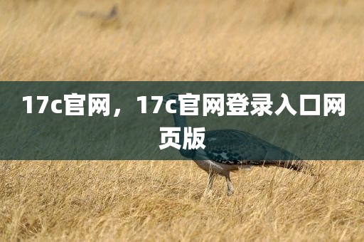 17c官网，17c官网登录入口网页版