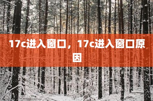 17c进入窗口，17c进入窗口原因