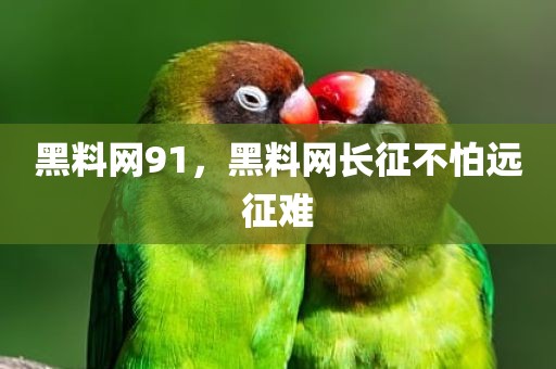黑料网91，黑料网长征不怕远征难