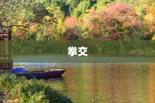 拳交