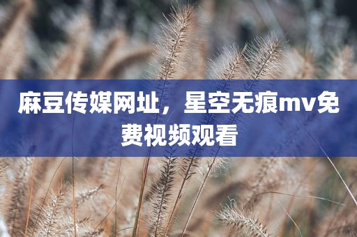 麻豆传媒网址，星空无痕mv免费视频观看