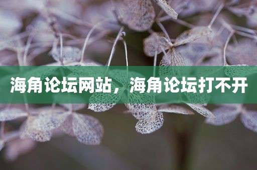 海角论坛网站，海角论坛打不开