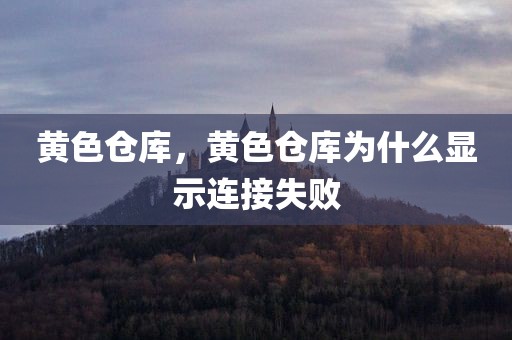 黄色仓库，黄色仓库为什么显示连接失败