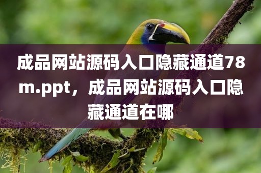成品网站源码入口隐藏通道78m.ppt，成品网站源码入口隐藏通道在哪