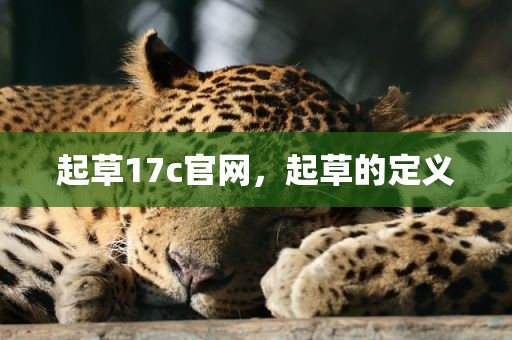起草17c官网，起草的定义