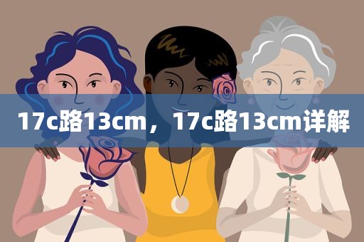 17c路13cm，17c路13cm详解