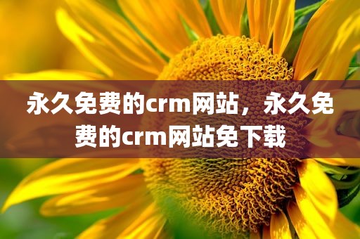 永久免费的crm网站，永久免费的crm网站免下载