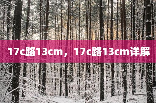 17c路13cm，17c路13cm详解