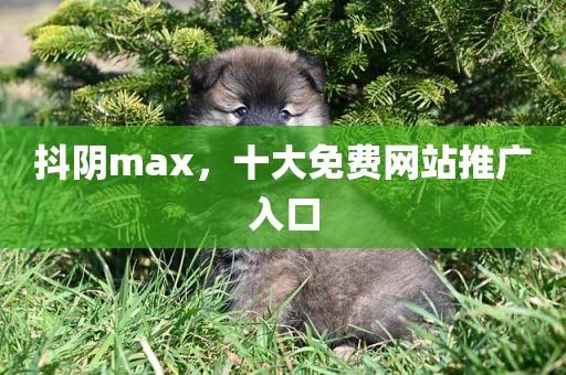 抖阴max，十大免费网站推广入口